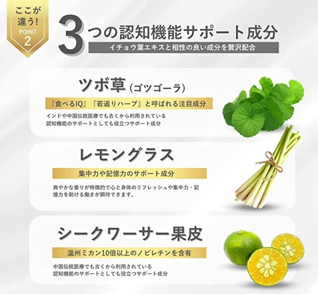 キオクチャージ