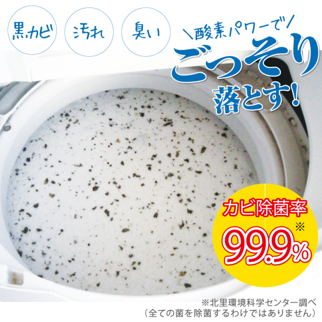 洗濯槽クリーナー 500g