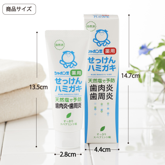 薬用ハミガキS  80g(医薬部外品)