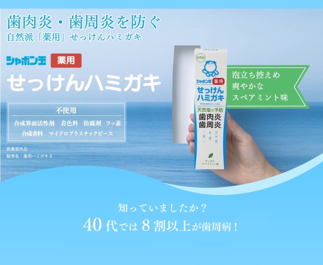 薬用ハミガキS  80g(医薬部外品)