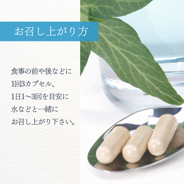 シオサポ