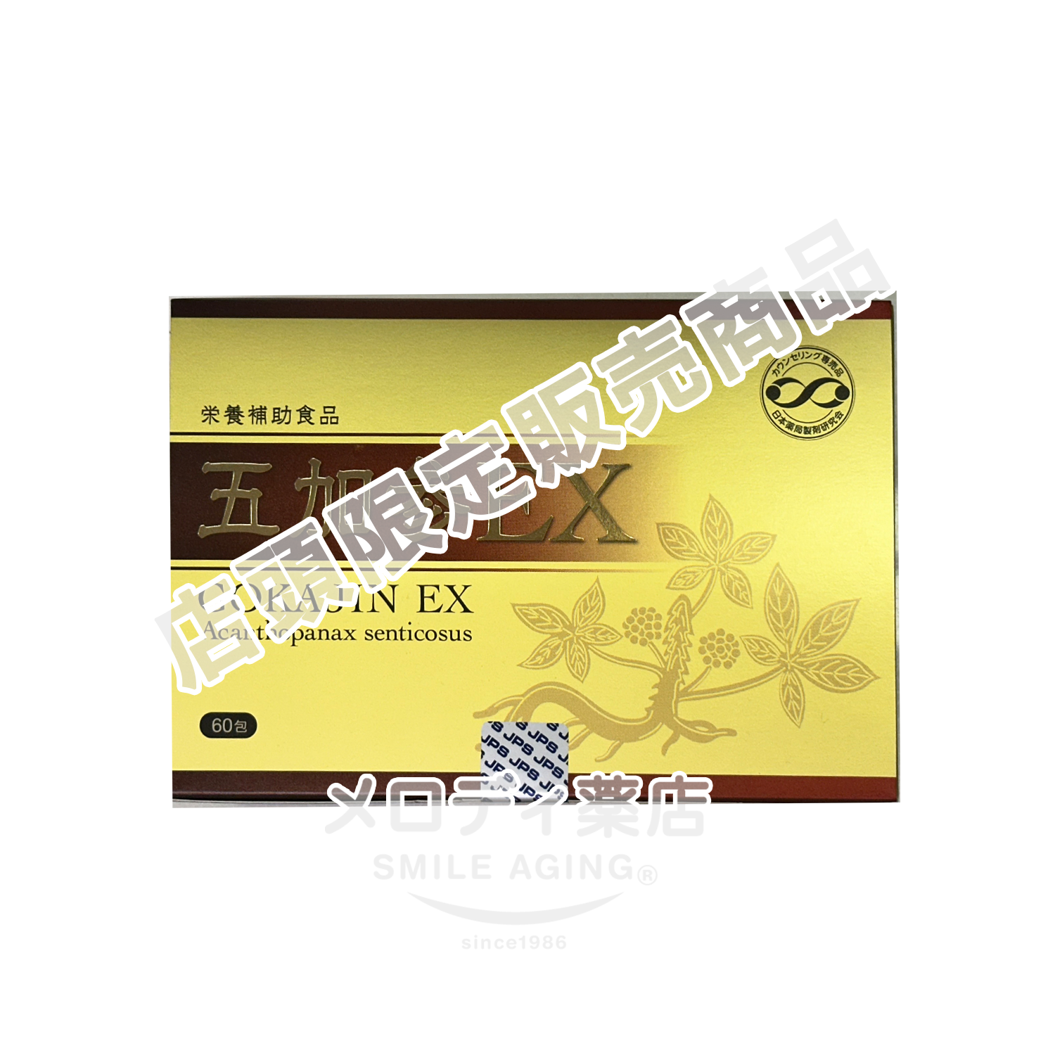 篋???????EX (????????????)60???