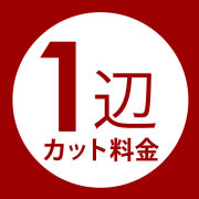 1辺カット料金