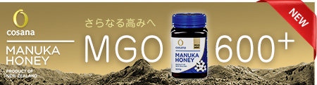 コサナマヌカハニーMGO600