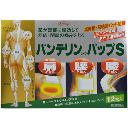 【第2類医薬品】興和バンテリンコーワパップS12枚