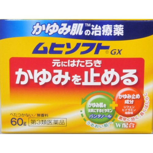 【第3類医薬品】池田模範堂ムヒソフトGX60g