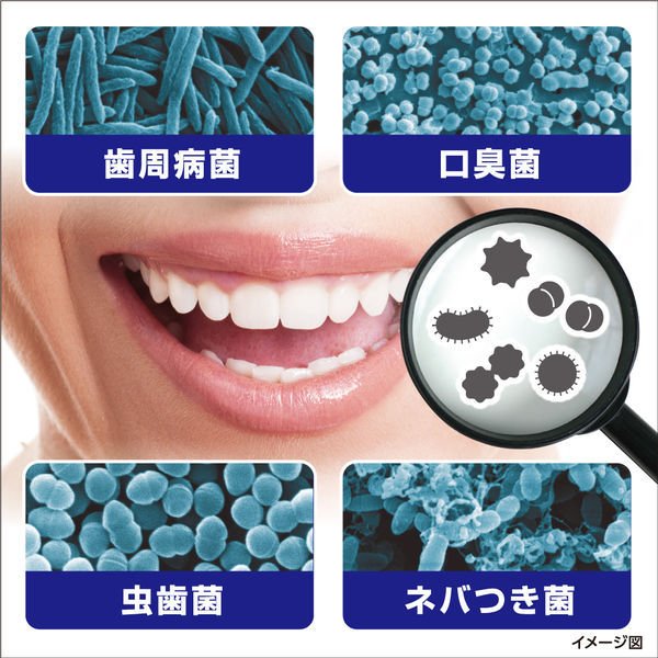 ゼローラ