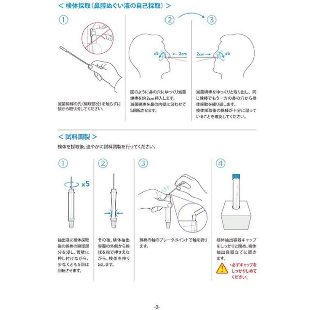 ラピッドテスト