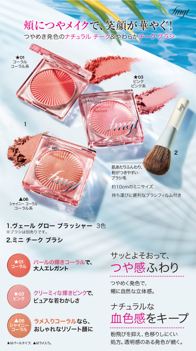 エフエムジーティーヴェールグローブラッシャー