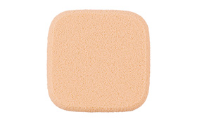 アルソアリベスト替えスポンジ