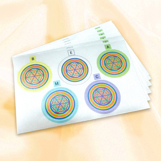 【初夏のキャンペーン】レインボーフラワーパッチ6枚セット【送料無料】
