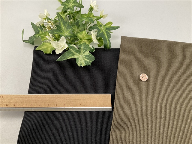 オーガニックスパンテレコ