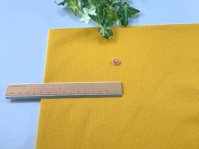 スポーティーストライプ天竺イエロー