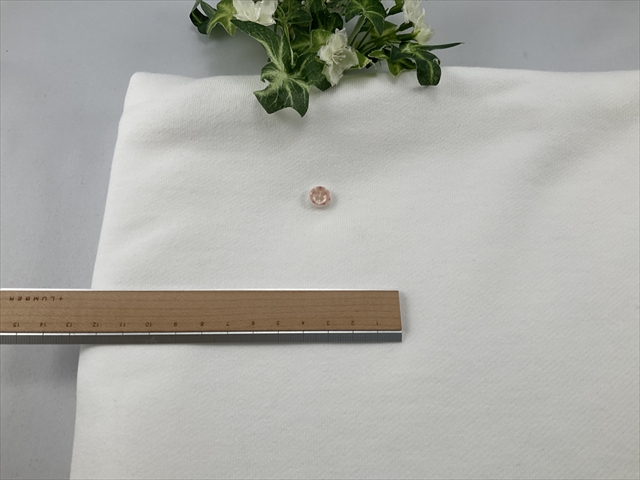 度詰めヘビートレーナーオフホワイト