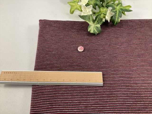 今月の目玉商品2WAYミニボーダー天竺ワイン