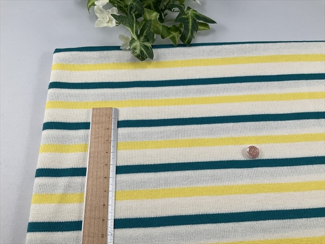 イエローグリーンボーダー天竺