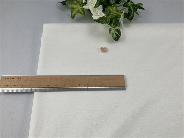 マイクロモダールスムースオフホワイト