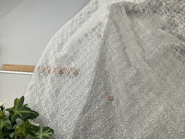 シャイニーラッセルレース