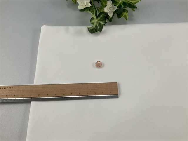 コットンタイプライターオフホワイト