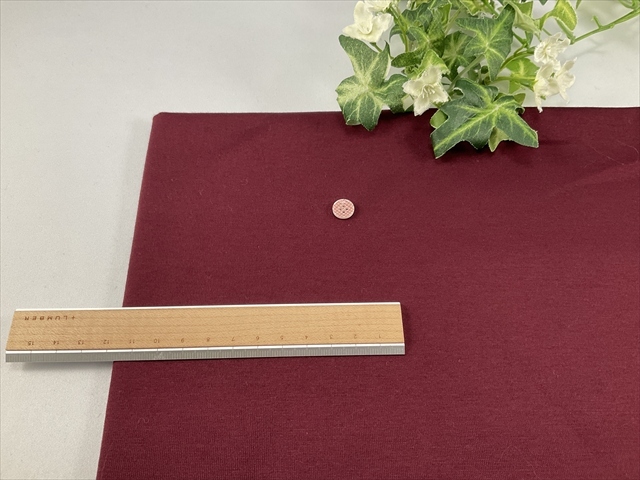 キレイ目天竺ワイン