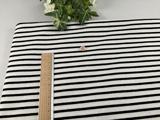 デラヴェボーダー天竺白黒