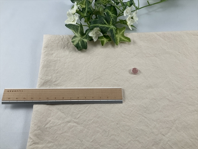 スーピマバイオウォッシュタイプライター生成り