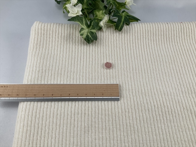 柔らか起毛テレコニット生成りオフ