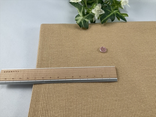 スパンテレコビスケット