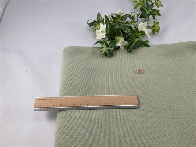 パシフィック裏毛若葉色