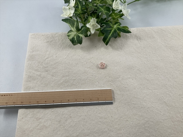 ワッシャーキャンバス生成り