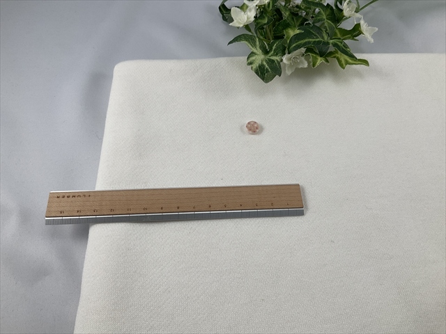 コーマ裏毛オフホワイト