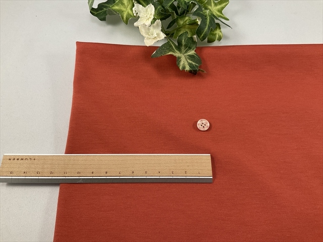 サラッと滑らか天竺朱色