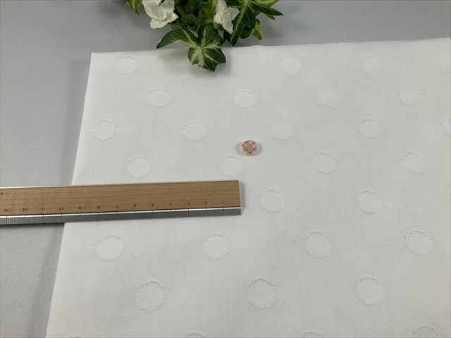 カットジャガードドットオフホワイト