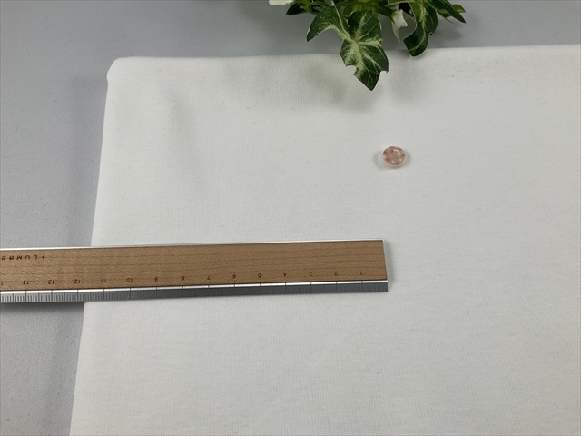 今月の目玉商品双糸フライスホワイト