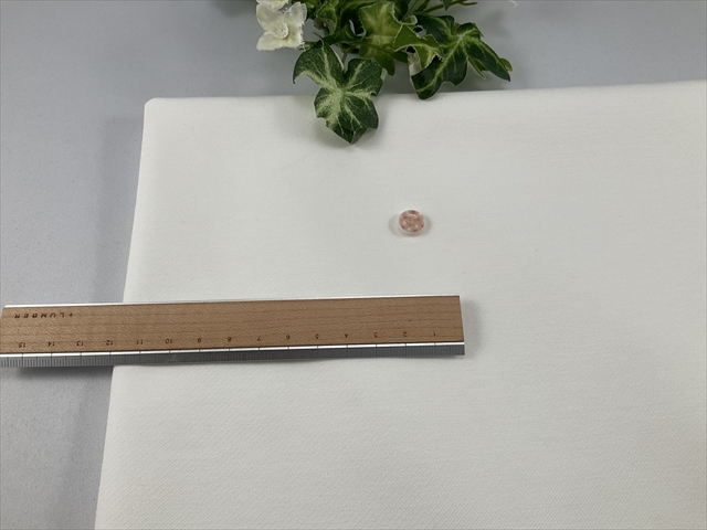 今月の目玉商品綾ポンチニットオフホワイト