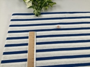 オフホワイトブルーボーダー天竺