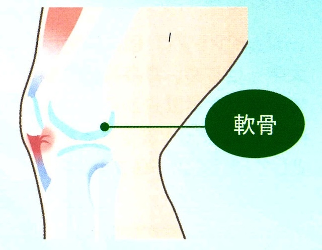 ジョイントプロ極膝軟骨