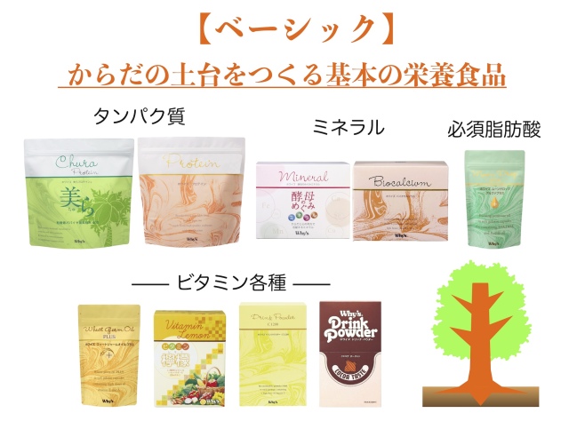 ベーシックトップ画像