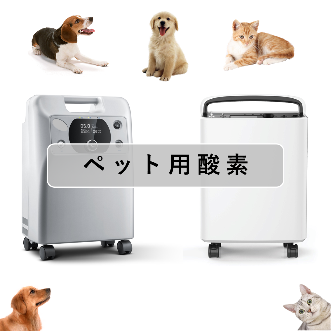 COT株式会社-公式」 携帯酸素缶 | ペット用在宅酸素 | 酸素濃縮器