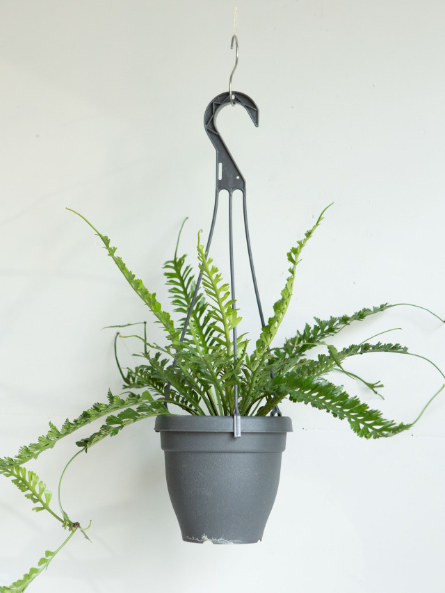 230622_006.jpg?t=20230622164253