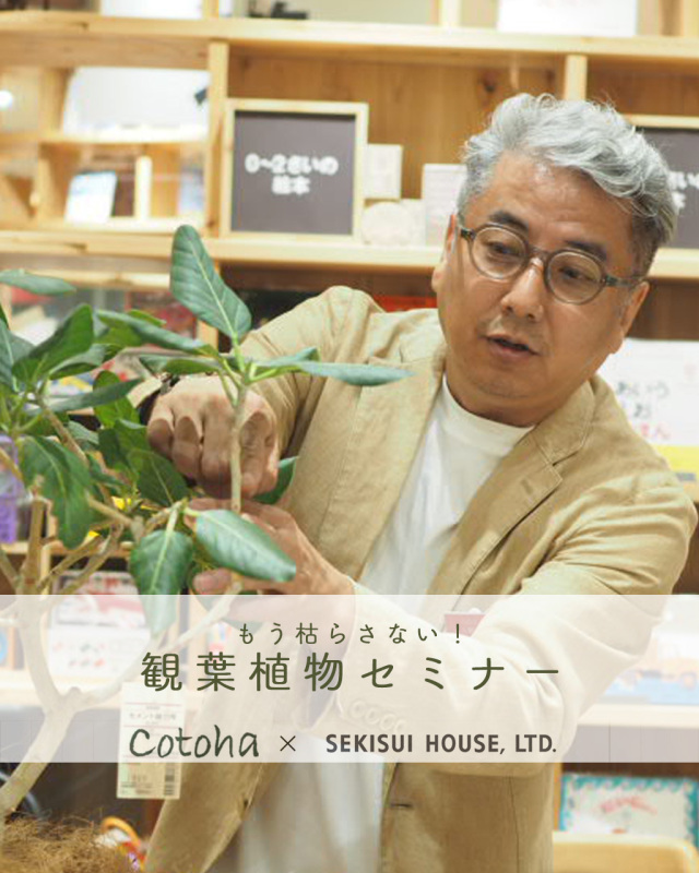 もう枯らさない！観葉植物セミナー In SUMUFUMU TERRACE KYOTO 【烏丸御池】