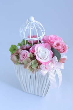 バードガーデン