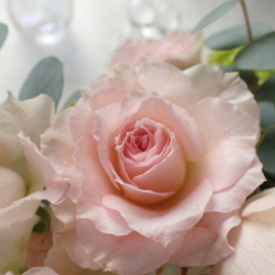 ２０２５オーダーレッスン２０回チケット（割引き）