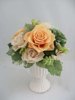 ローズガーデン（ＢＰ）