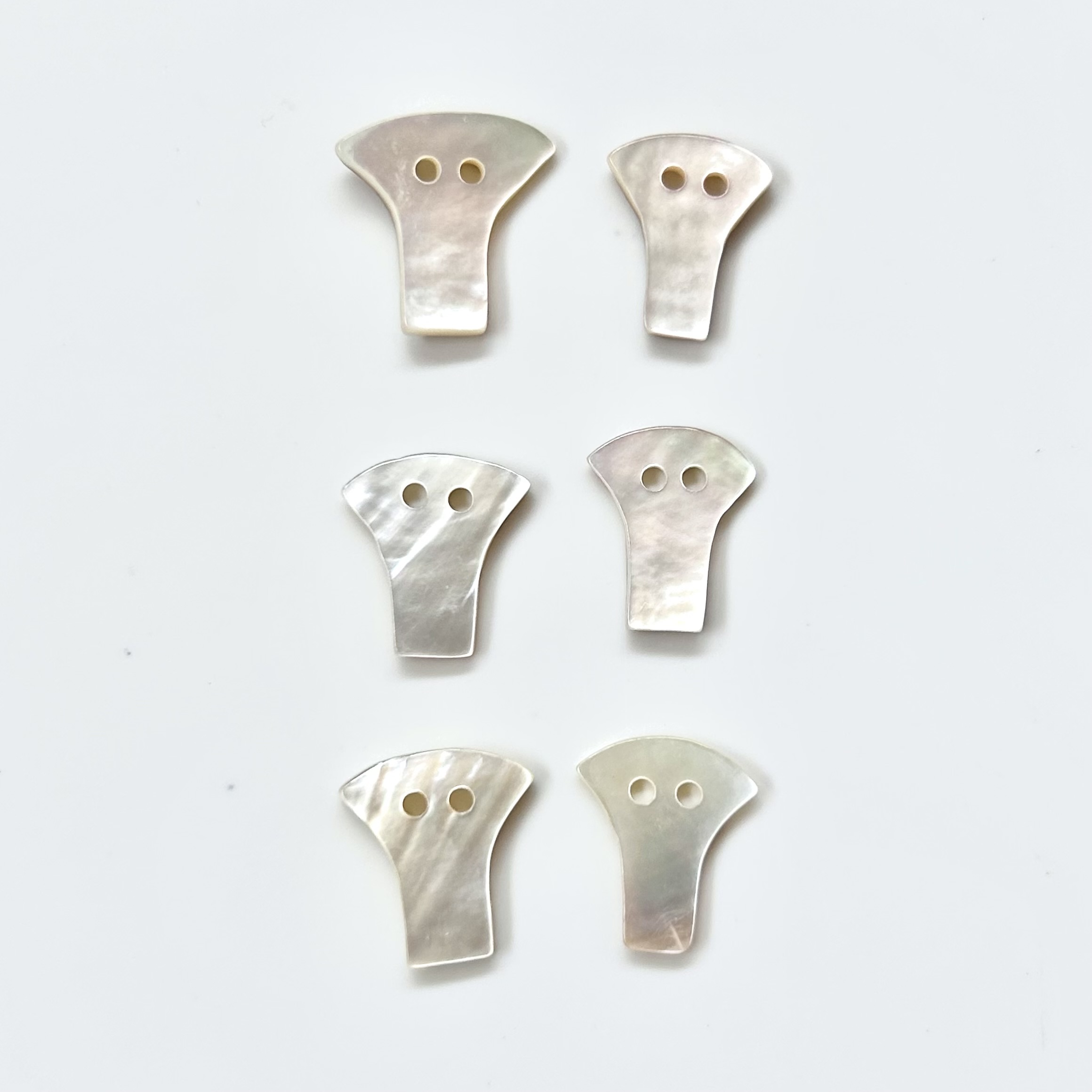 貝ボタン シェルボタン 6個セット【 扇形 】(NOT-285)