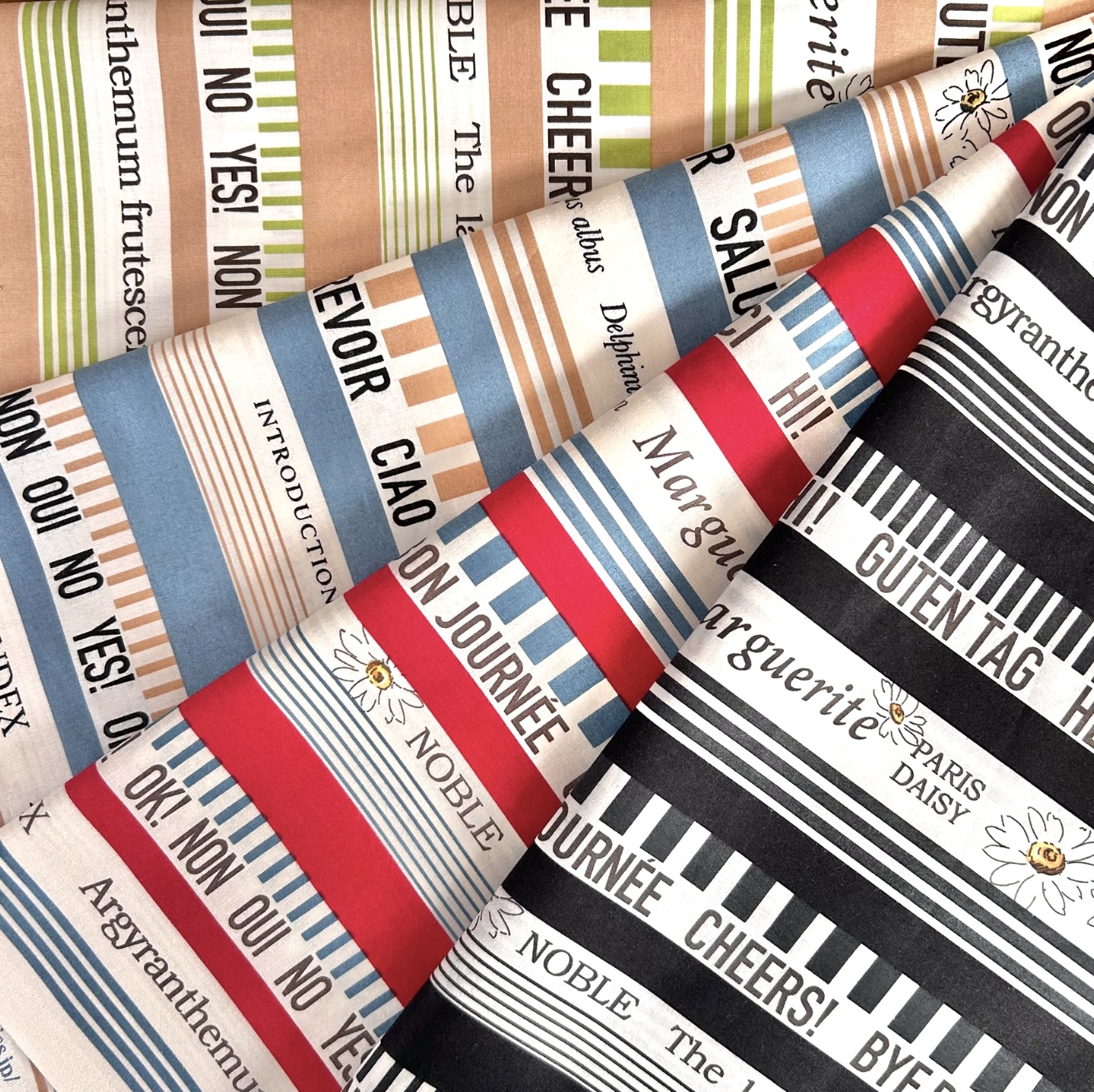 【小関鈴子先生 秋の新作デザイン】英字ボーダー柄 4色展開 (JKS-488）