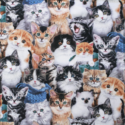 USAコットン【猫柄リアルプリント】 モノクロ/フルカラー (UCT-189)