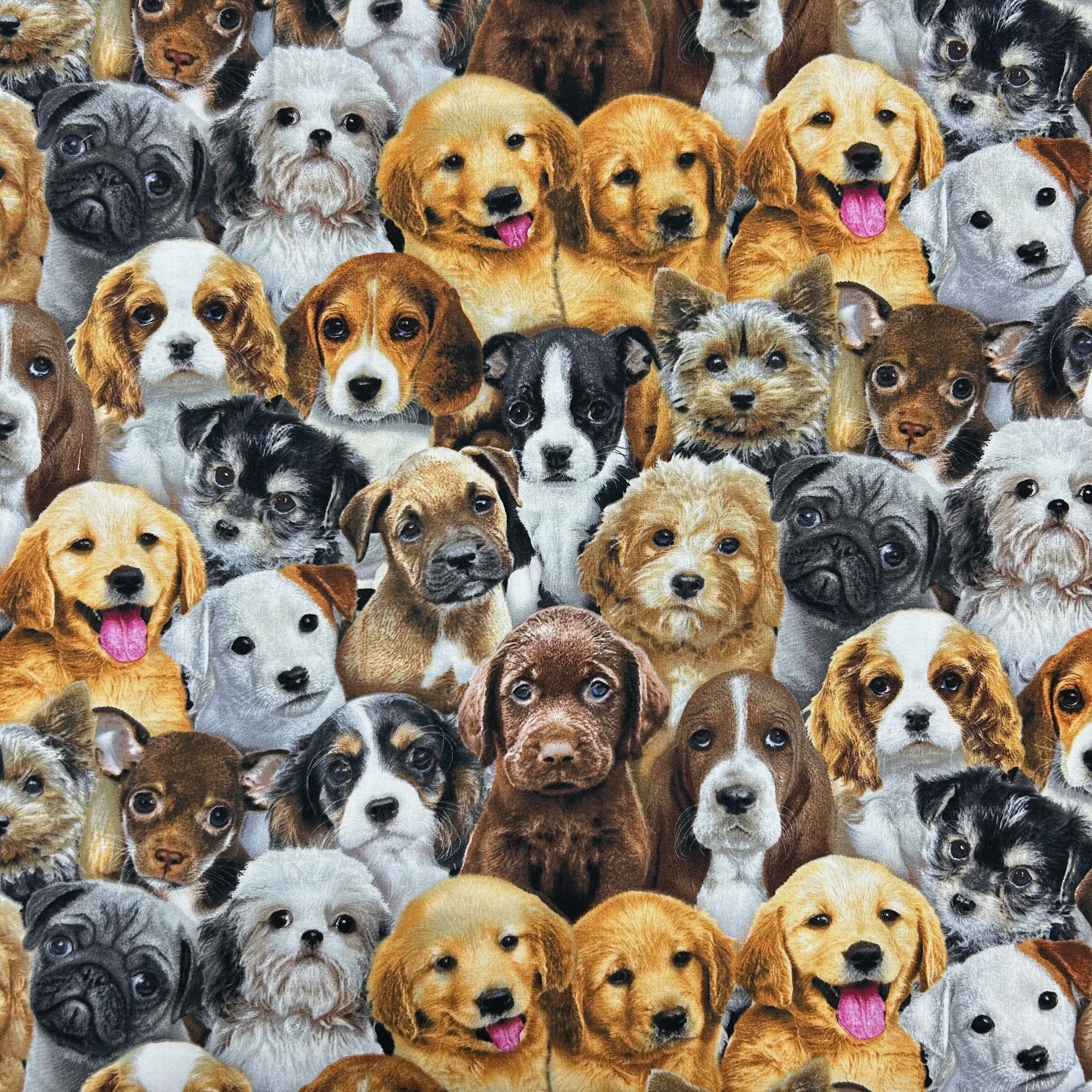 USAコットン USA輸入品【犬柄プリント】リアルプリント  子犬小型犬柄 (UDG-117)