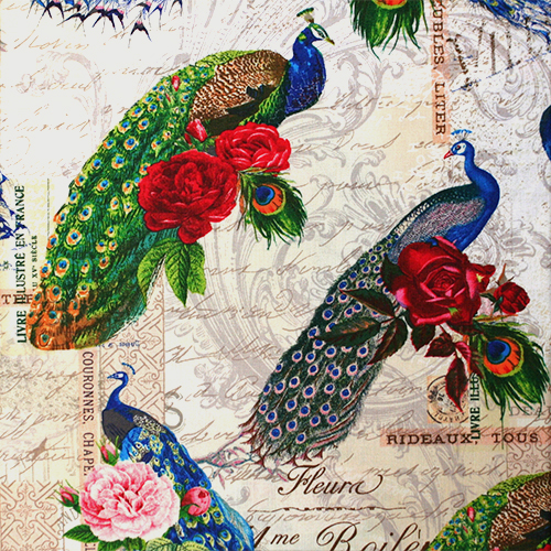 【英字プリント】(UEG-141)