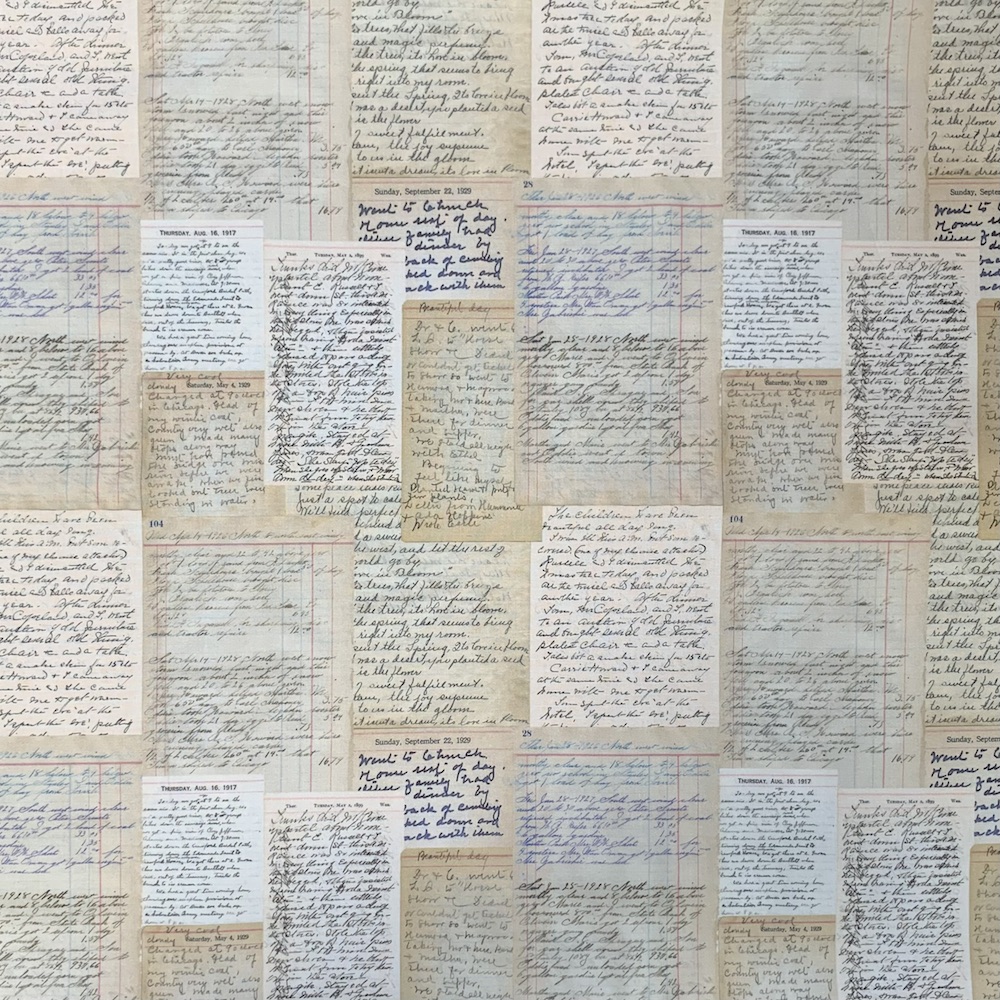 【USAコットン】英字レター柄  アイボリー(UEG-158)